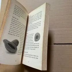 Trái cây món quà kỳ diệu của thiên nhiên 783614