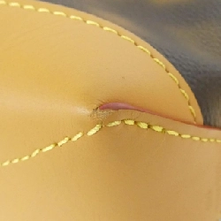 Louis Vuitton Đây Không Phải Là Monogram Hobo Cruiser PM M46241 Túi Đeo Vai 611056