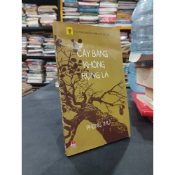 Cây bàng không rụng lá - Phong Thu