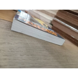 Người lạ trong gương - Sidney Sheldon 335539