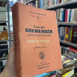 LƯỢC GIẢI KINH HOA NGHIÊM (TẬP 2B - CHƯƠNG VI VÀ VII) 