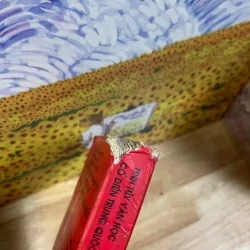 Thượng Thư (Sách Ghi Chép Thời Thương Cổ) 926377