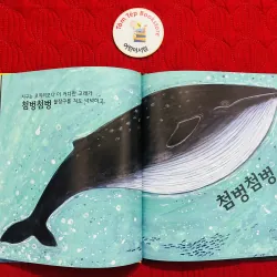 Set 5 quyển sách tranh tiếng Hàn bìa cứng 930892