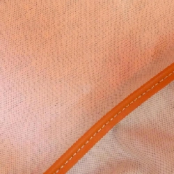 Túi Goyard Saint Louis PM AMA LOUIS PM 608575