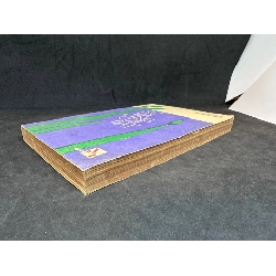 Sự im lặng của đất (1986) Cao Linh Quân, Mới 70% (ố vàng) SBM1311 912411