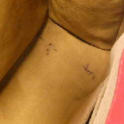 Gucci 409486 KLQIG Túi đeo vai - Hàng hiệu Chính hãng 768228