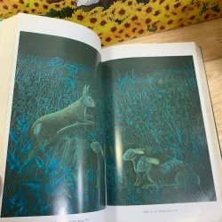 Đồi Thỏ - Pichard Adams 927458