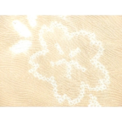 Áo khoác / Đường đi bộ 2 món - Hàng hiệu Authentic 878060