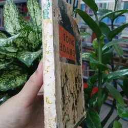 SÓNG HOANG - HOÀI ĐIỆP TỬ 1005414