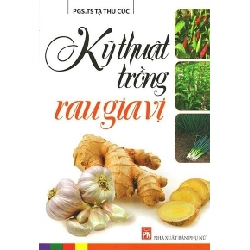 Kỹ thuật trồng rau gia vị - Tạ Thụ cúc STB2703 Khác