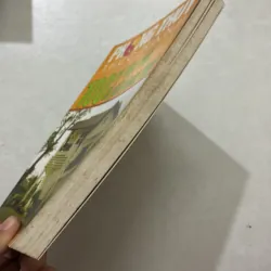 100 ví dụ về đồ giải phong thuỷ  764726