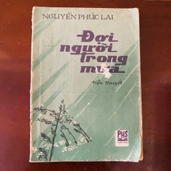 Đợi người trong mưa - Nguyễn Phúc Lai 