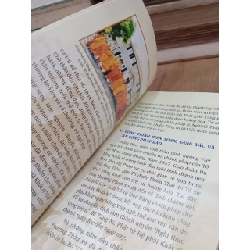 Mãn Bồ Đề Nguyện - Giáo hội Phật giáo Việt Nam 522534