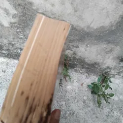 Từ tòa Bạch Ốc đến dinh Độc Lập của Nguyễn Tiến Hưng  1030432