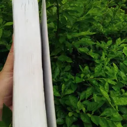 Bố già ( The Godfather ) bản dịch hay nhất của Đặng Phi Bằng  1008252