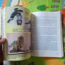 Bonsai - Cây dáng, thế và Non bộ 933891