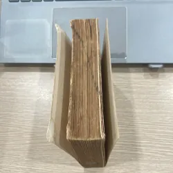 Từ điển Anh - Việt, Đồng nghĩa - Phản nghĩa 975824