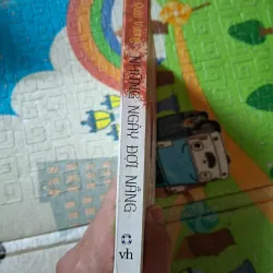 Những Ngày Đợi Nắng 1002202