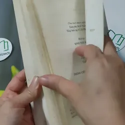 [MIỄN PHÍ BỌC SÁCH] Những Vấn Đề Văn Hóa Việt Nam Hiện Đại 928608