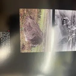 Bãi đá cổ Sa Pa dưới con mắt tạo hình 787259