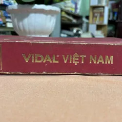 Vidal Việt Nam 2001 🌊 718555