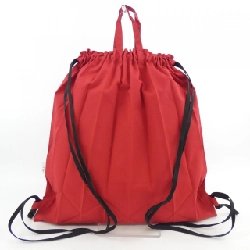 me ISSEY MIYAKE M111AG822 BAG 655683