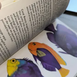 Tropical Marine Aquaria by Graham F. Cox In Yugoslavia (Hamlyn Publishing Group) 791528