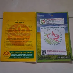 Hạt giống rau  1027558