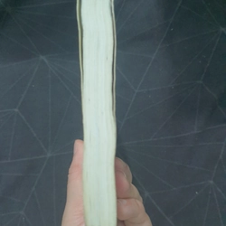 "Chuyện tình Lệ Giang" - Hoa Nam 498940