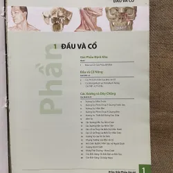 ATLAS GIẢI PHẪU NGƯỜI - FRANK H. NETTER, MD - sách dày, in màu  961604