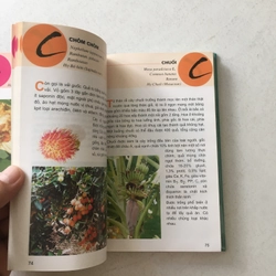 Từ Điển Tranh Về Các Loại Củ, Quả - Lê Quang Long chủ biên 545526