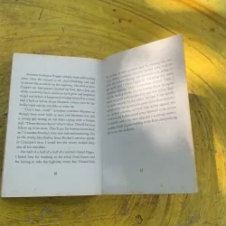 SWITCH- INGRID LAW 763340