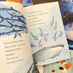 ✨𝑺𝒕𝒆𝒑 𝒊𝒏𝒕𝒐 𝑹𝒆𝒂𝒅𝒊𝒏𝒈 6-𝑩𝒐𝒐𝒌 𝑺𝒆𝒕 (𝑳𝒆𝒗𝒆𝒍 3)✨ 780909