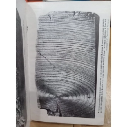 Le temps sans horloge - Gordon C. Baldwin 539442