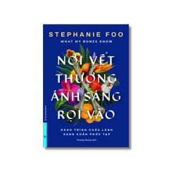 Nơi Vết Thương Ánh Sáng Rọi Vào - Stephanie Foo