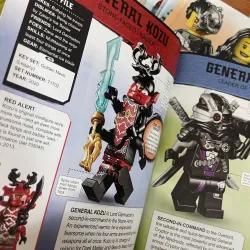 Ninjago lego Character collection 8 books 998245