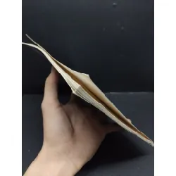 [Phiên Chợ Sách Cũ] Bí Quyết Chăm Sóc Cá La Hán Lên Màu Và Lên Đầu, có 2303 424394