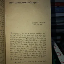 Người bạn mang bộ lông chim 786607