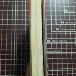 Tiểu Luận viết bằng tiếng Pháp trong thời gian 1922-1932 - Phạm Quỳnh 731195