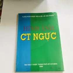 HÌNH ẢNH CT NGỰC