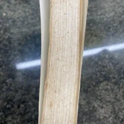 Không gia đình Hector Malot XB 2001 762286