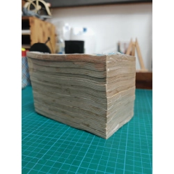 TRUYỆN TRANH Rockman Chiến Binh Thế Giới Ảo - Takamisaki Ryo 143058