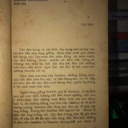 Quà tặng của một người không quen  796815