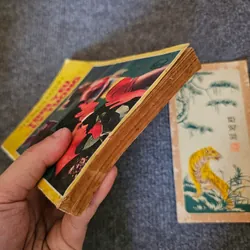 Tình yêu và lý tưởng - Thomas Mann 736228