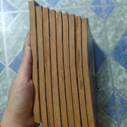 Quỷ Sát Kỳ Nhân ( 9 tập) - Vương Nhật Lãm 992782