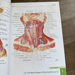 Atlat giải phẫu người 591862