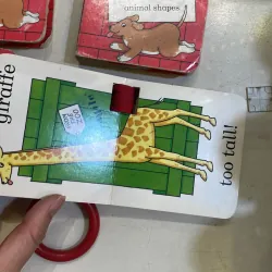 Ngoại văn : Rod Campbell : DEAR ZOO : animal shapes & buggy book ( chọn 1 quyển )  1027456