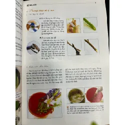 Nghệ thuật cắm hoa gia đình và lễ hội - Lĩnh Uyên Biên, Trịnh Trọng Đỗ 711782