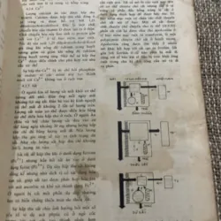 Sinh lý học, in năm 1991, Đại học Y dược Tp Hồ Chí Minh 1021241