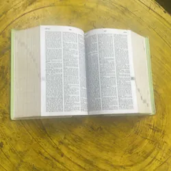 TỪ ĐIỂN ANH - VIỆT - ENGLISH- VIETNAMESE DICTIONARY  699413